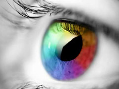 Multicolour eye